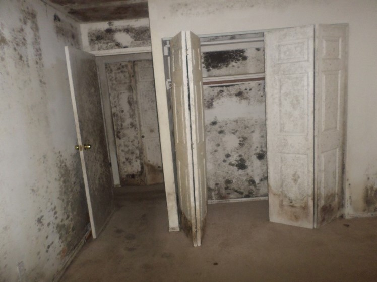 Reston, VA Condominium Mold Loss