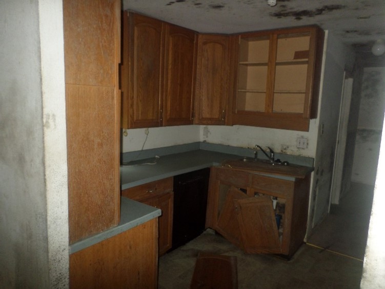 Mold Covered Kitchen Reston, VA